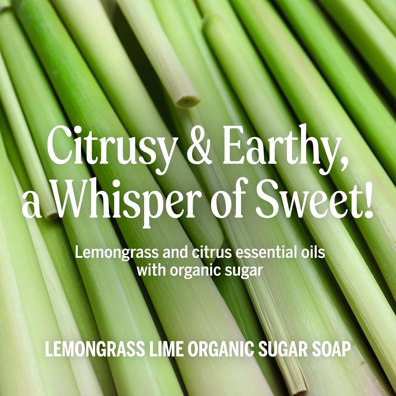 Organic Sugar Soap Lemongrass, 12 Ounce – Made with Regenerative Certified Or…