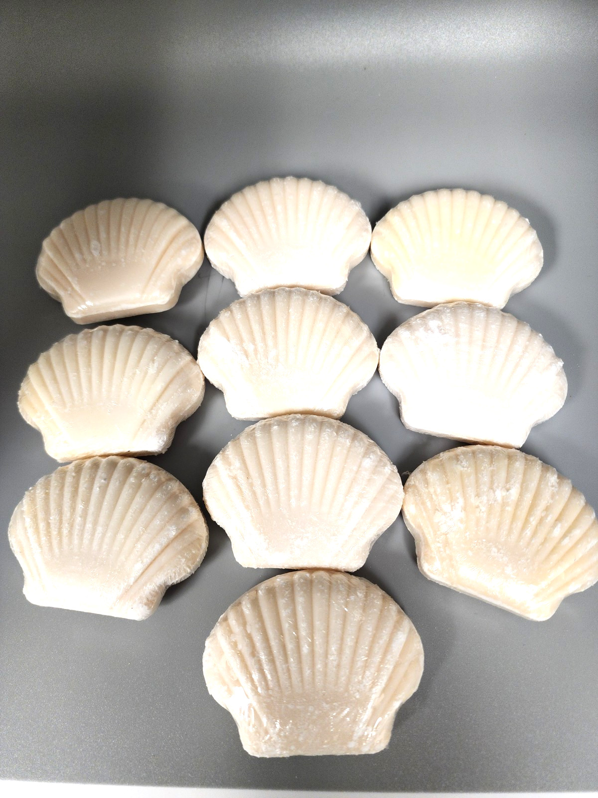 Malibu Wellness Shell Shaped Cleansing Bars (10)