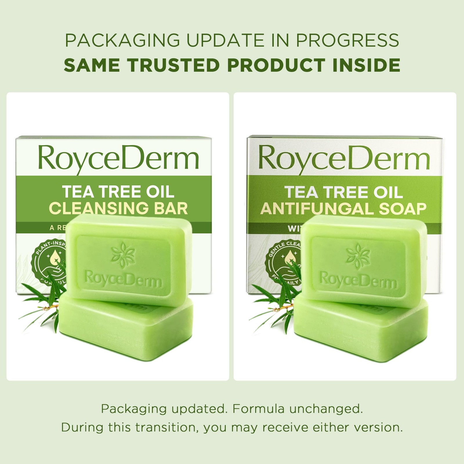 Roycederm Antifungal Bar Soap – Tea tree Oil Soap – Athletes Foot Treatment for