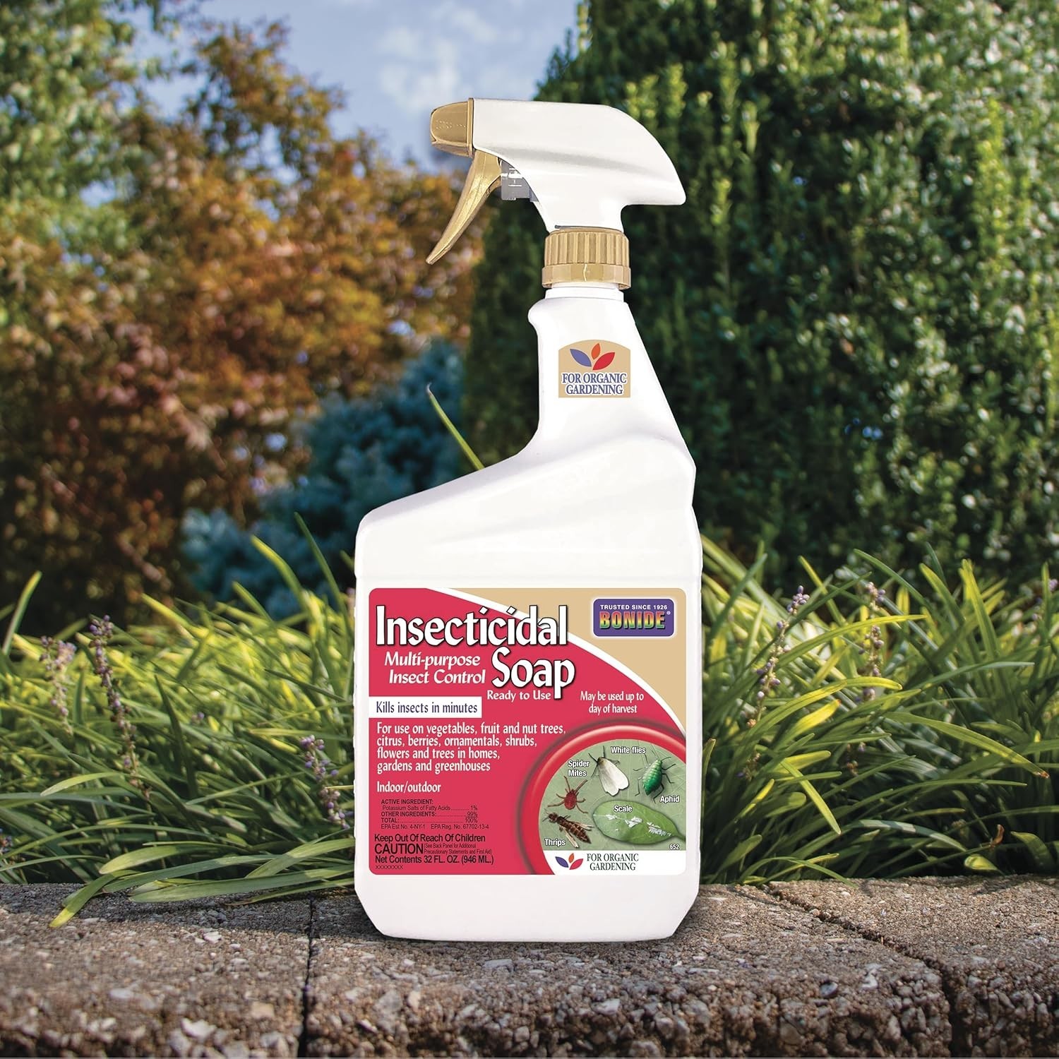 Bonide Captain Jack’s Insecticidal Super Soap 32 oz