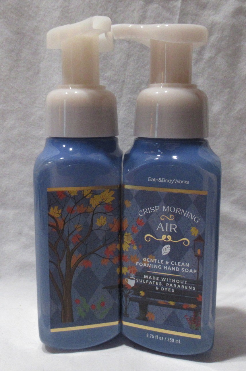 Bath & Body Works Gentle & Clean Foaming Hand Soap Lot Set 2 CRISP MORNING AIR