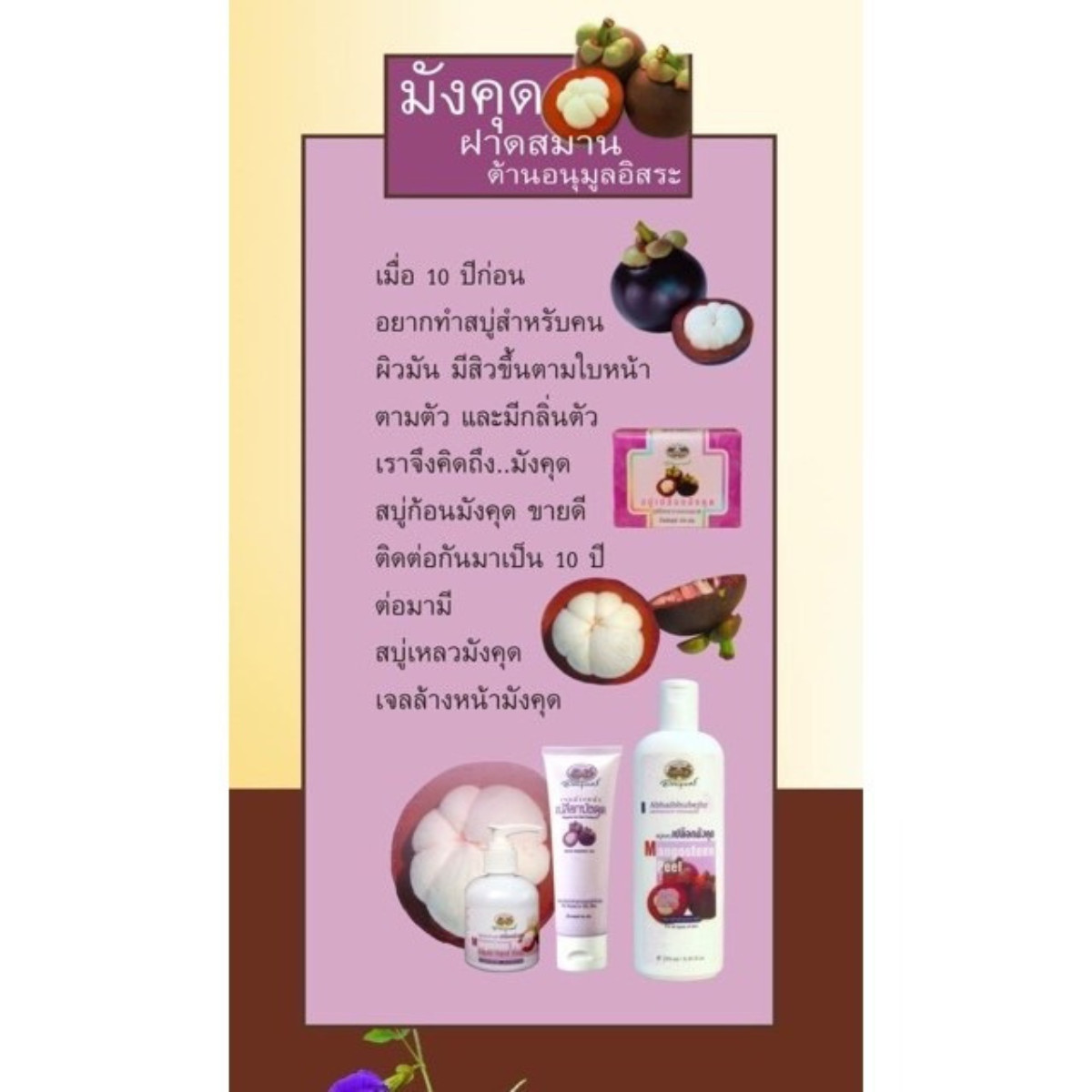 Abhaibhubejhr Mangosteen Thai Herbal Soap 100g Natural Skin Bar x 6