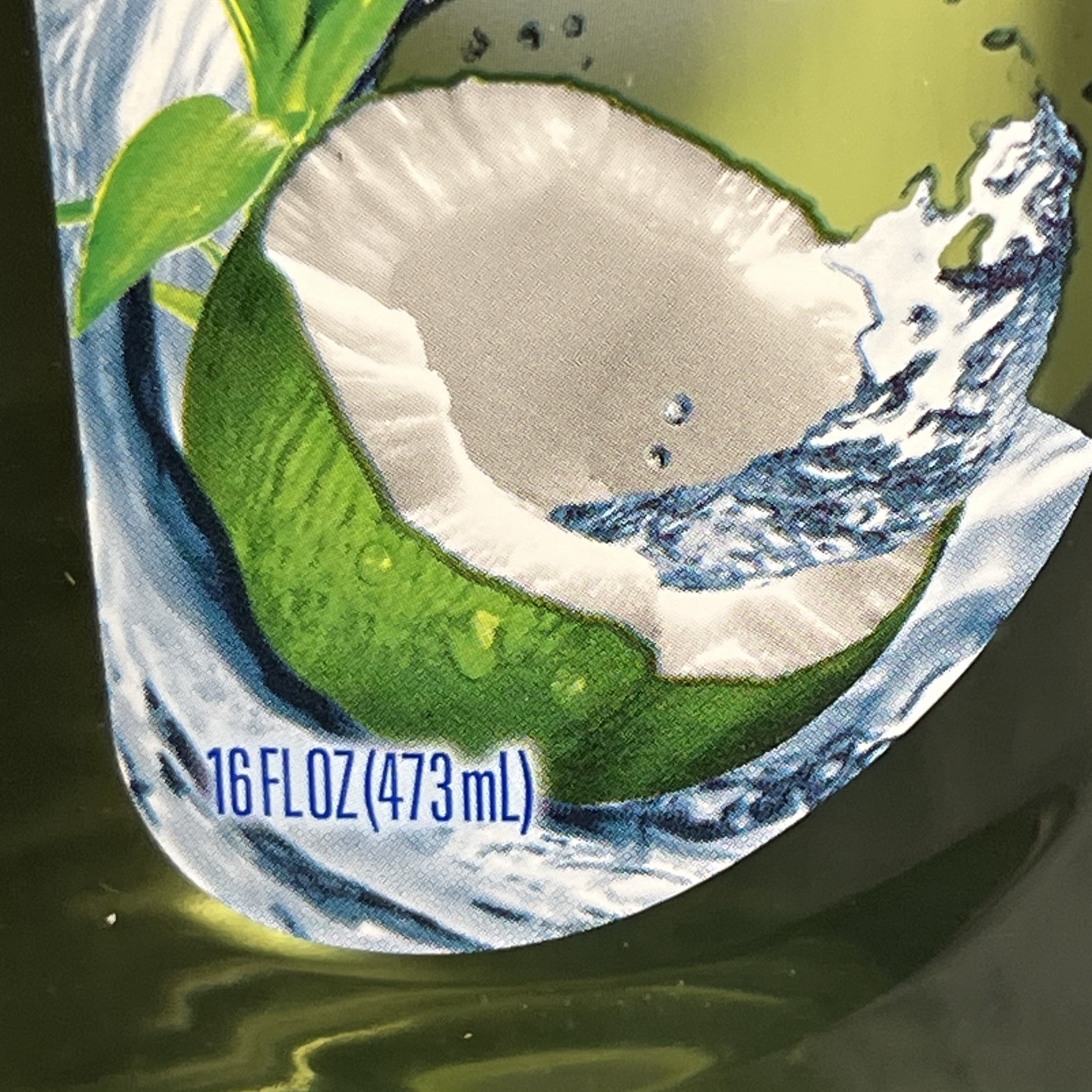 Dial Body Wash Coconut Water (16 oz Bottle)