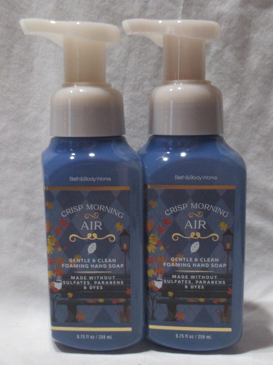 Bath & Body Works Gentle & Clean Foaming Hand Soap Lot Set 2 CRISP MORNING AIR