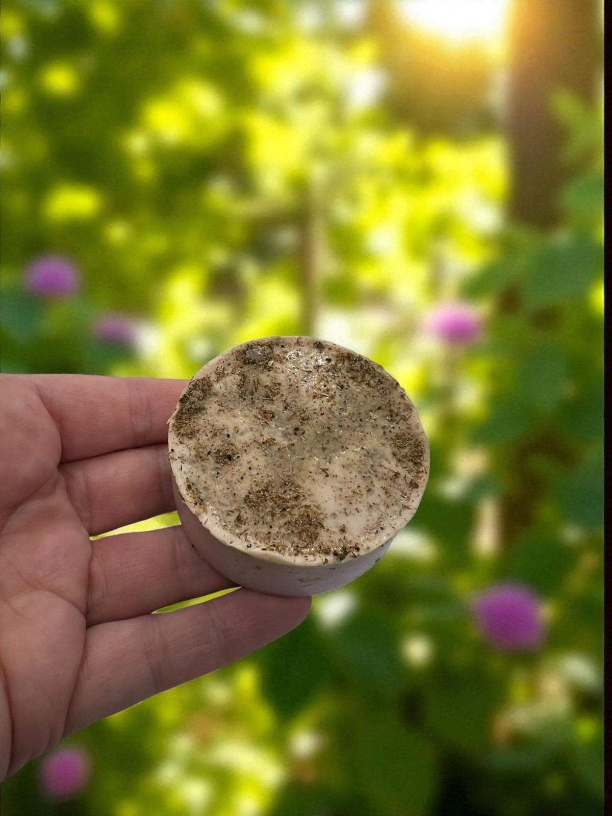 Dream O’ Lavender Jasmine Flower Shea Butter Exfoliating Bar Soap