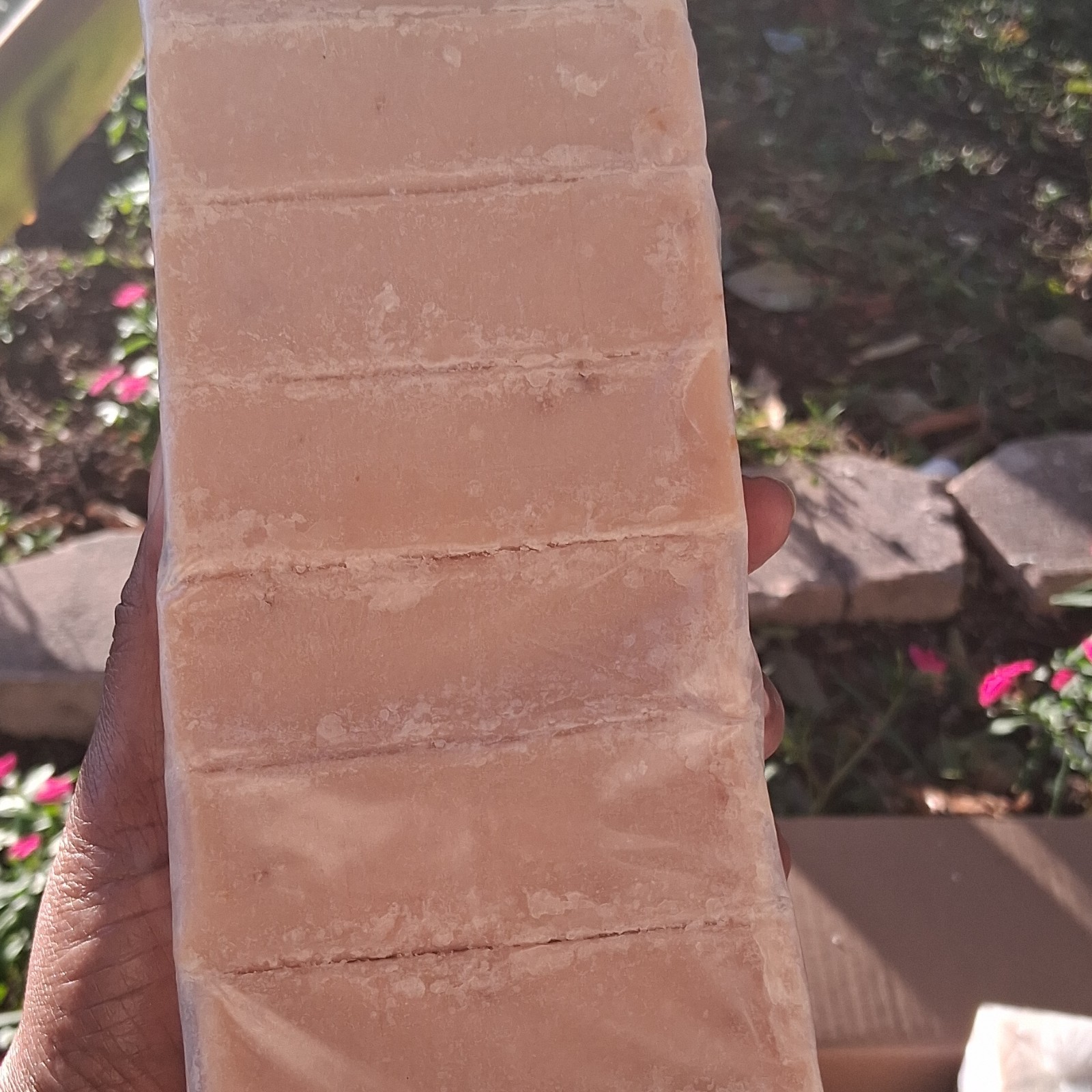 Beige Rectangular Body Bar Soap for Body Hands Unisex Segmented Block