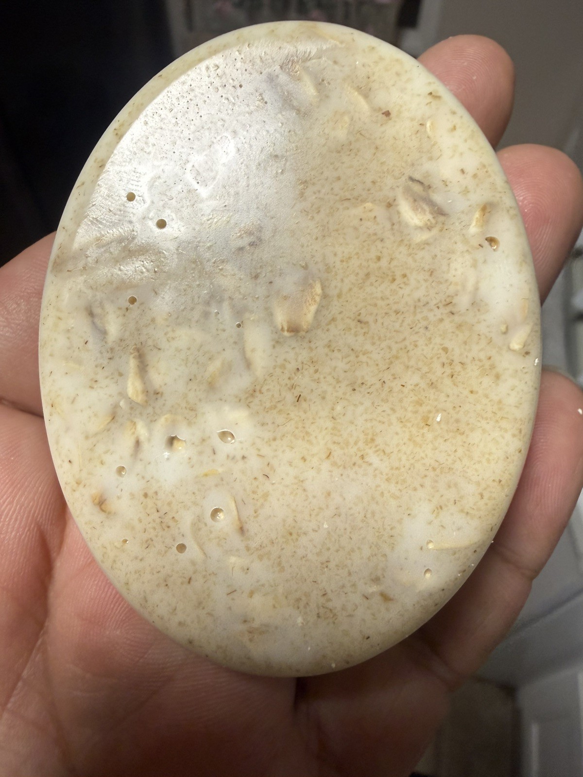 Handmade Goat Milk Soap, Oatmeal , Goats Milk Soap Bar, Made in USA