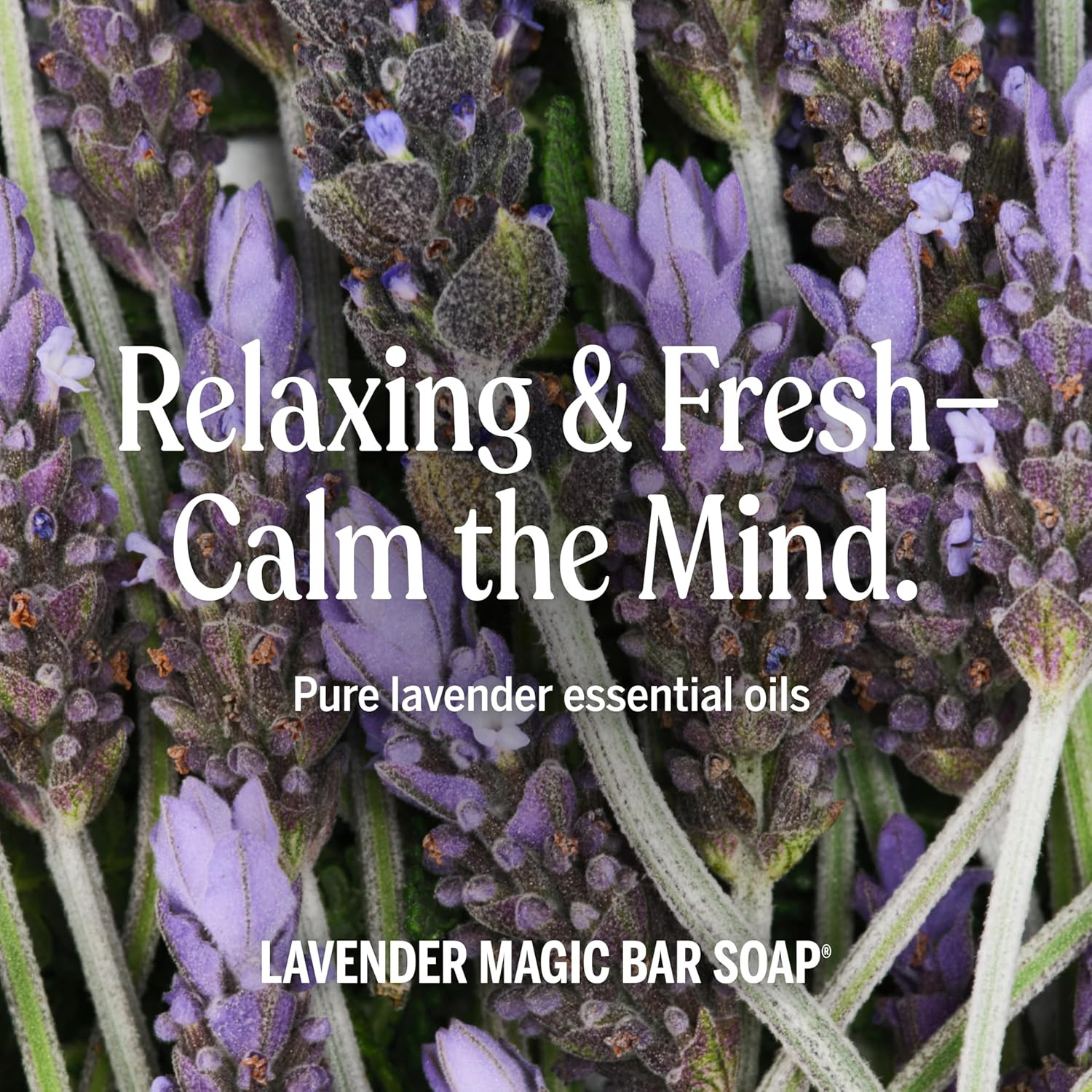 Dr. Bronner’S Pure-Castile Magic Bar Soap – Made with Regenerative Organic Certi
