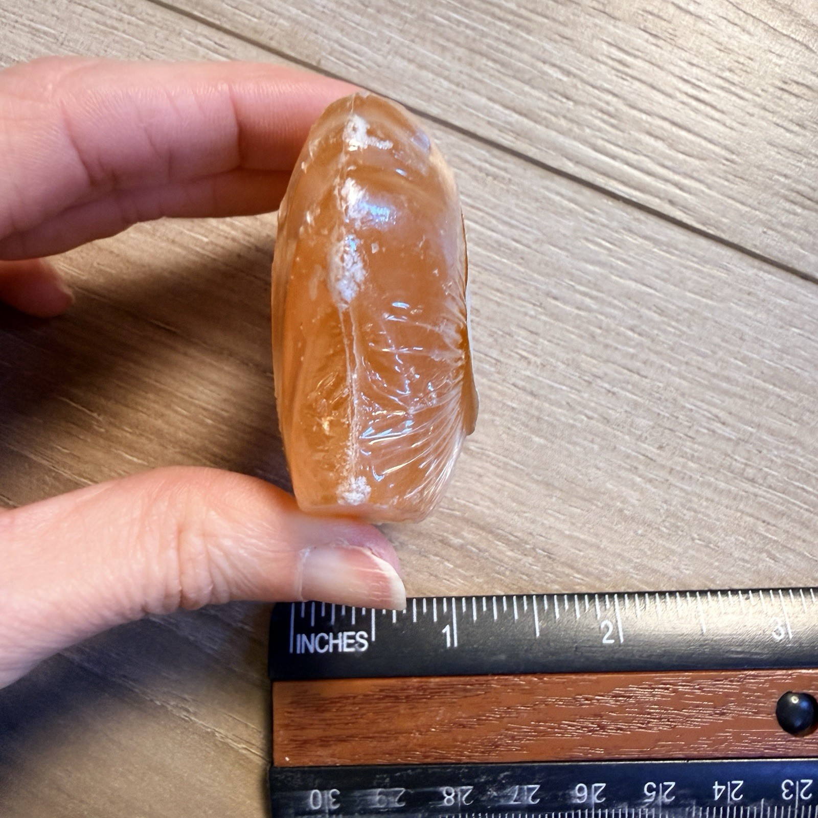 Taylor of London Fine Soap Seashell Shaped Guest Bar Amber Orange New