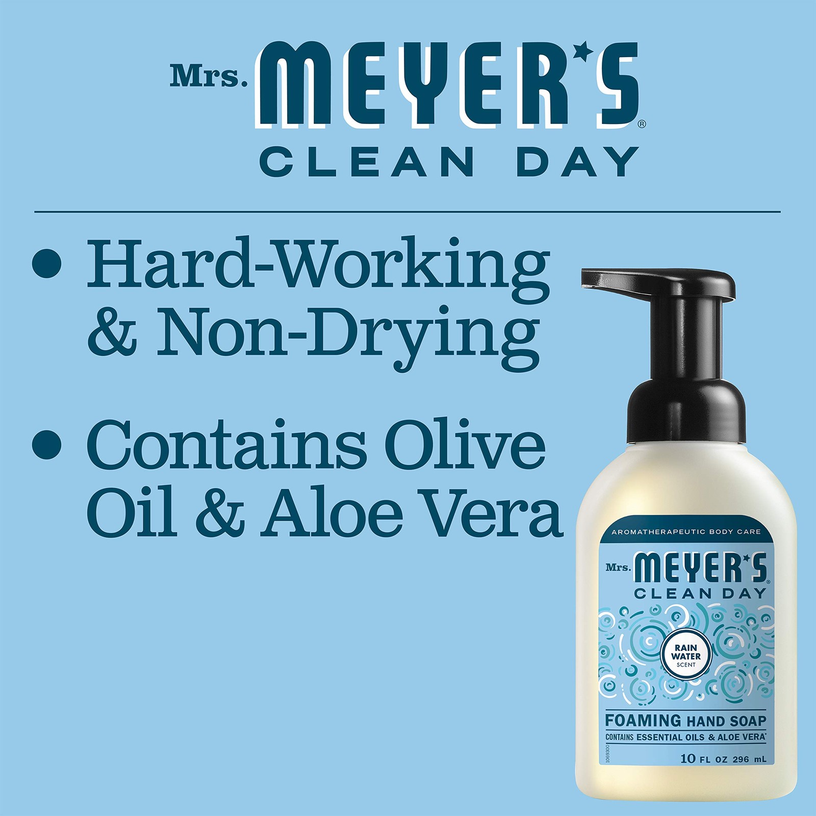 CLEAN DAY foaming Hand Soap, Rainwater Scent (10 Fl Oz (Pack of 1))