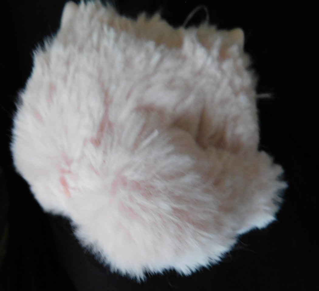 Bath & Body Works Pink Kitty Cat Pom PocketBac Holder New