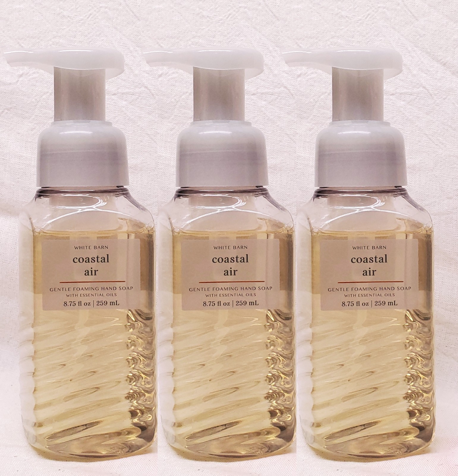 3 Bath & Body Works COASTAL AIR Foaming Hand Soap