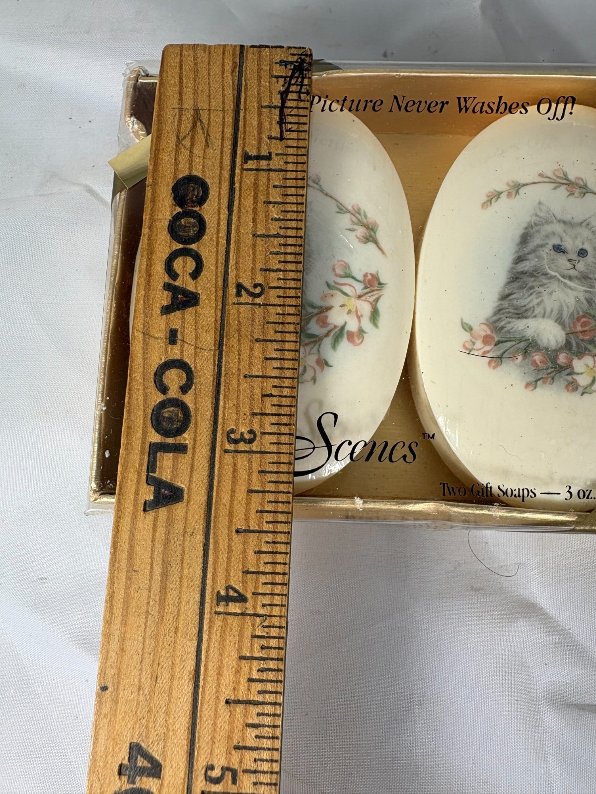 Soap Scenes Kittens Decorative Soap Picture Never Washes Off Gift Soap