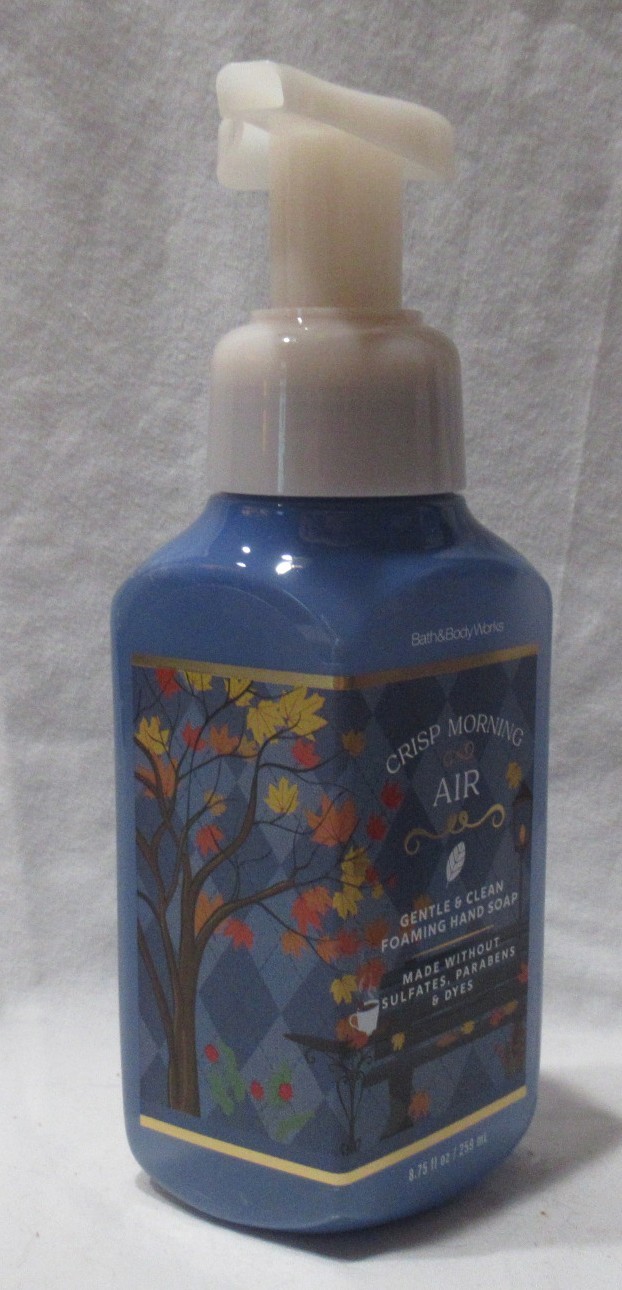Bath & Body Works Gentle & Clean Foaming Hand Soap Lot Set 2 CRISP MORNING AIR
