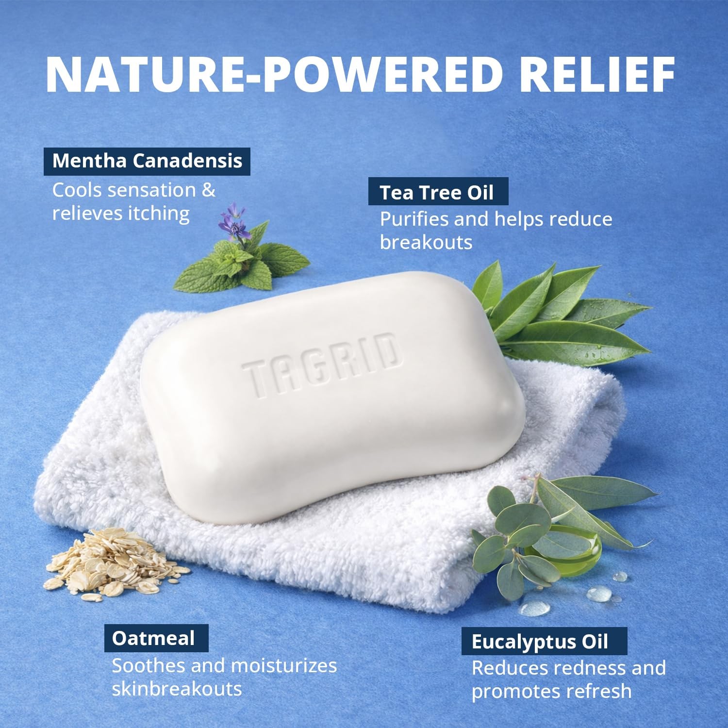TAGRID Tea Tree Oatmeal Antifungal Soap for 4.4 Ounce (Pack of 2), WHITE