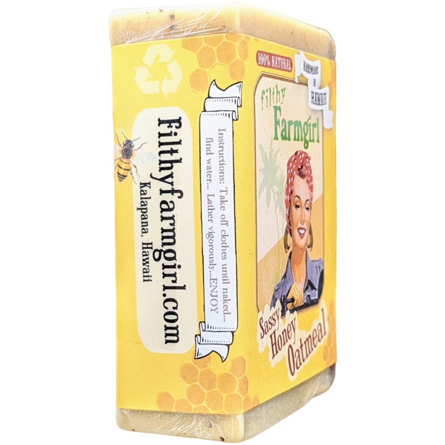 Sassy Honey Oatmeal all natural glycerin BAR SOAP Cinnamon Oats Vanilla