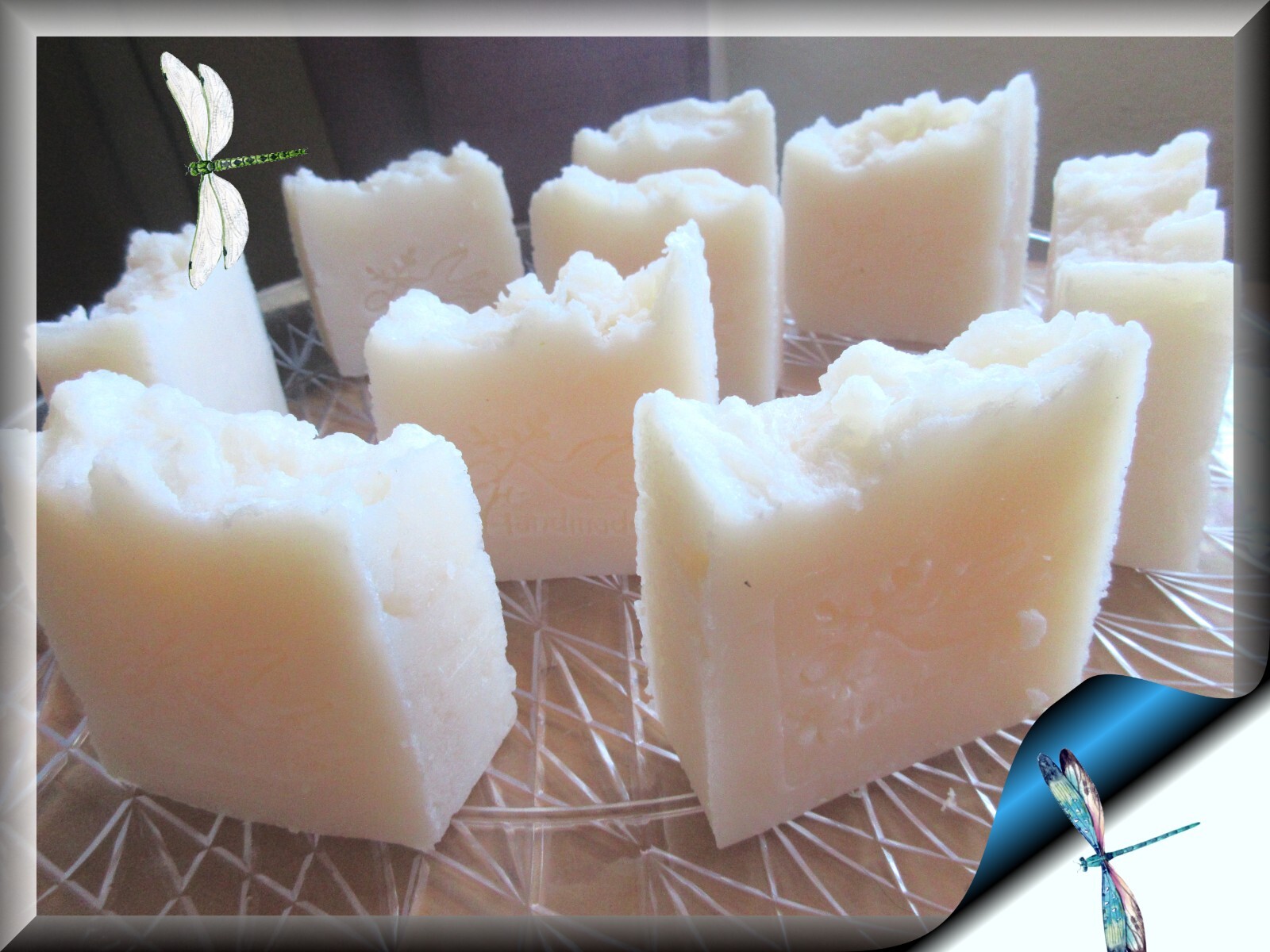 2 100% Organic Aloe Vera & Coconut Oil Shampoo & Body Bars UNSCENTED