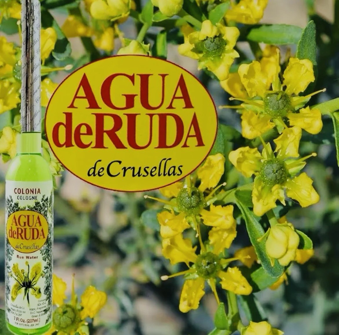 COLONIA AGUA DE RUDA / COLOGNE RUE WATER 7 fl oz
