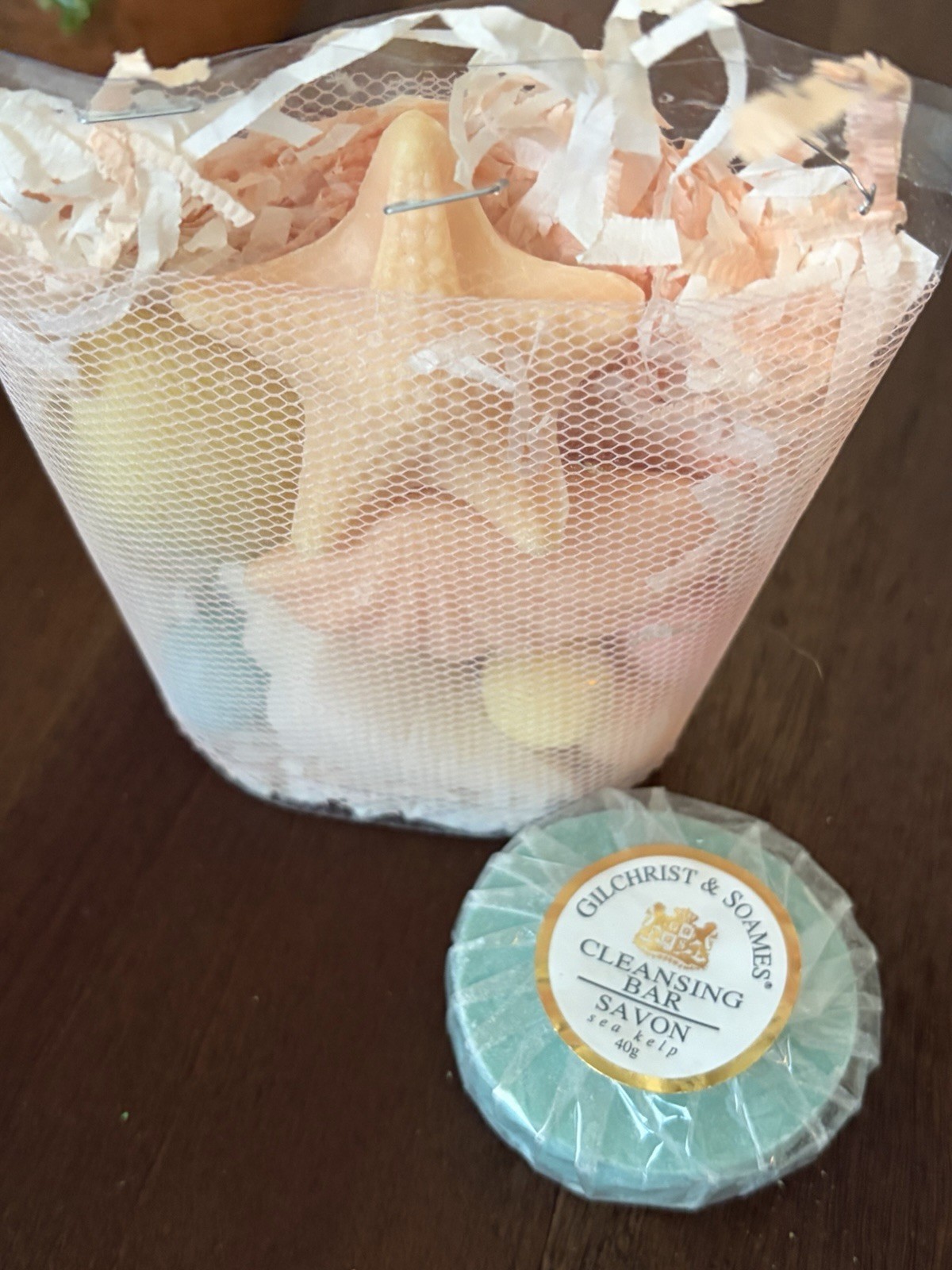 Gilchrist & Soames Sea Kelp Cleansing Bar Soap Gift Set Seashell Starfish New