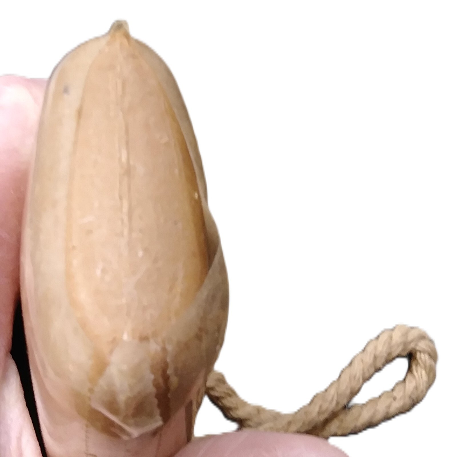 CHAPS RALPH LAUREN 6OZ LONGHORN SOAP ON A ROPE RARE SOAP ONLY