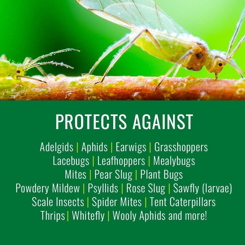 Insecticidal Soap, Ready-To-Use Garden Bug Treatment, Insect Killer for Indoor