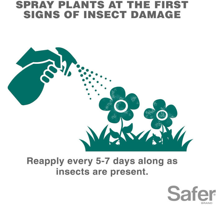 Insect Killing Soap Spray, Effective against Whiteflies, Thrips and Mealybugs