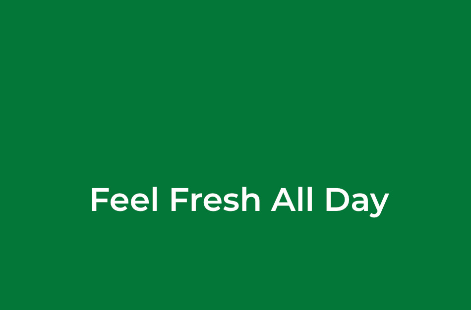 Irish Spring Original Clean 12HR Fresh Deodorant Soap ***4.5oz*** (127g)