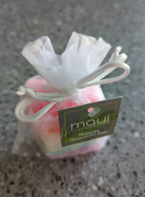 Rainbow Mini Soap Gift Set by Maui Soap Company