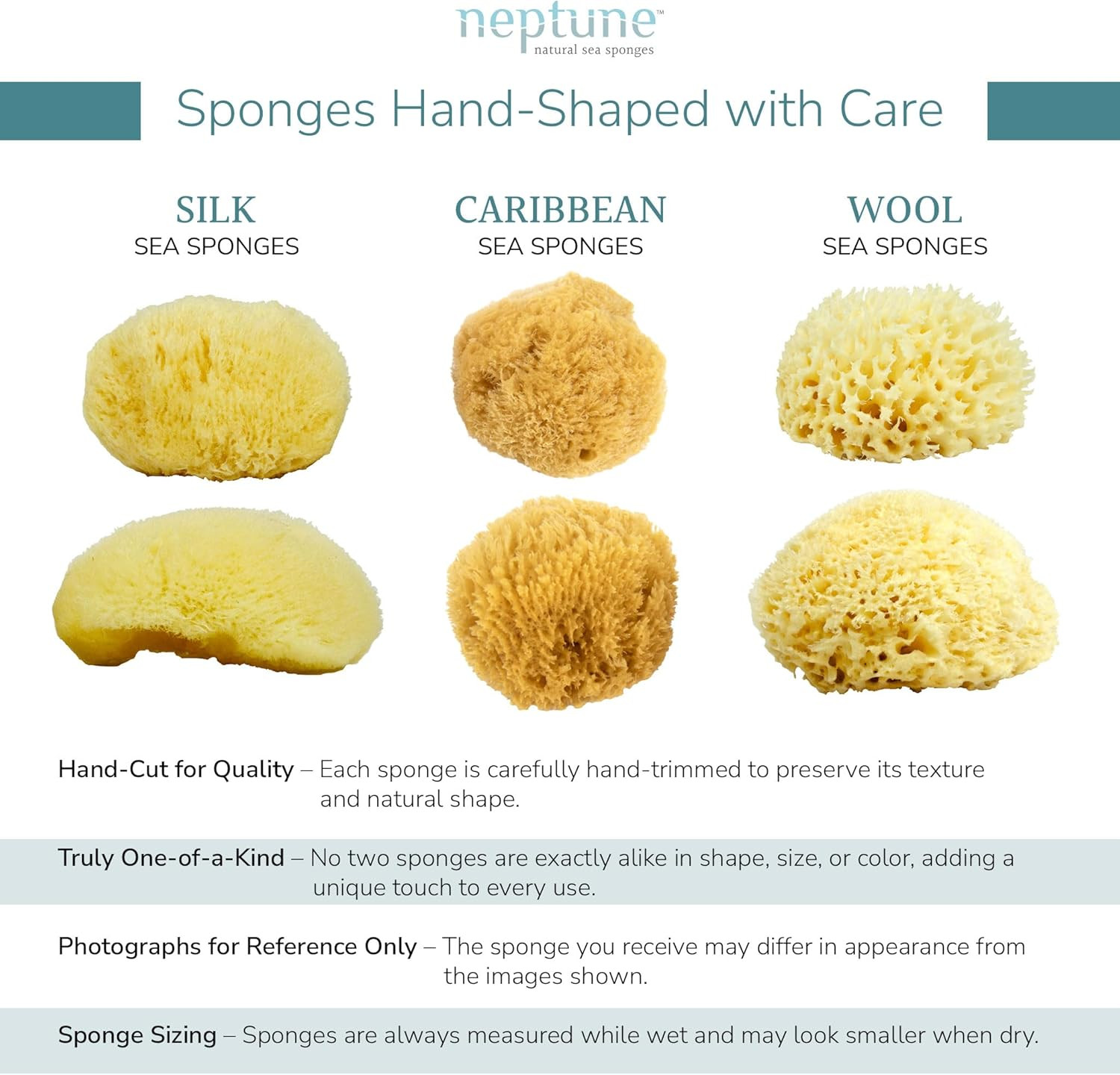 Caribbean Sea Sponge 2 Pack, Medium (Approx. 5-6 Inch), Hand Processed, Natural