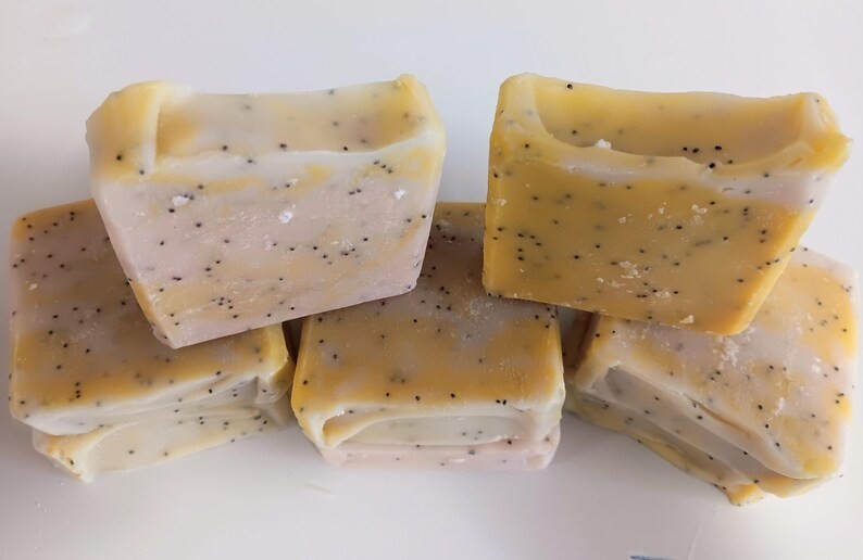 Lemon Poppy Seed Soap | Cold Process Essential Oil Bar | Handmade