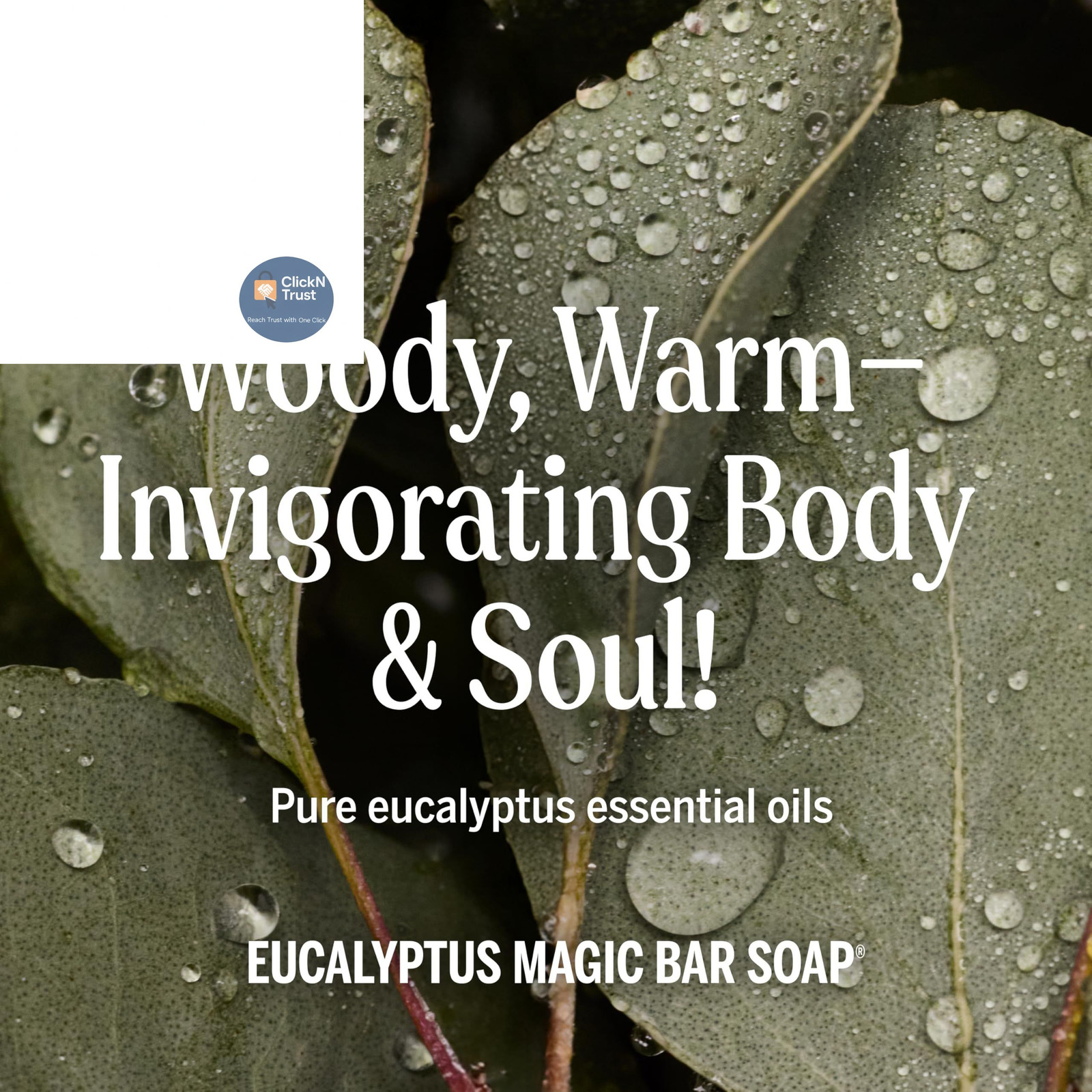 Dr. Bronner’s Pure-Castile Magic Bar Soaps – 5 Ounce (Pack of 2), Eucalyptus
