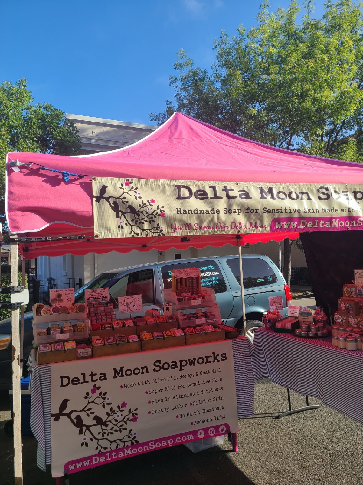 Handmade Cherry Almond Goat Milk Soap, + samples, ships fast