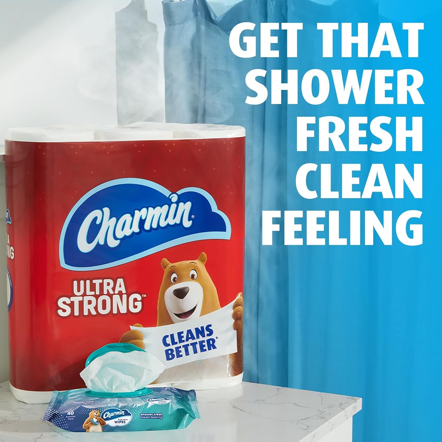 Charmin Flushable Wipes, 480 Total Wipes (12 Packs of 40) 40 Count (Pack of 12)