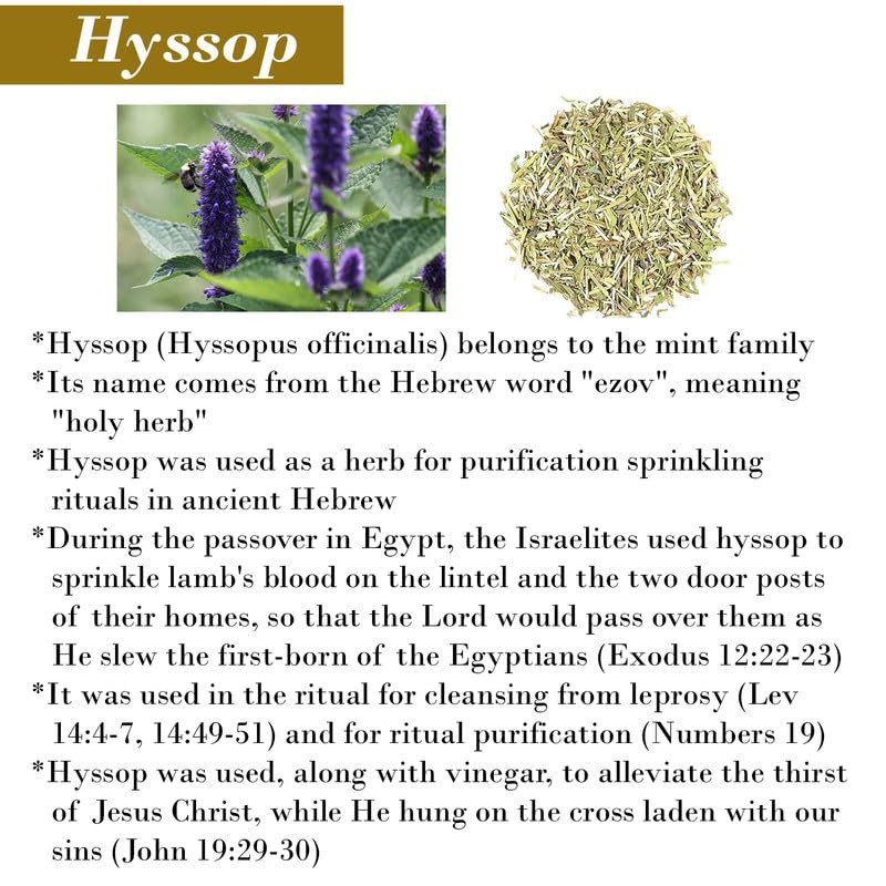 Beautyoils Cleanse Me With Hyssop Natural Soap 3.3 Ounce (Pack of 1)