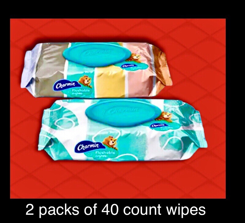 Charmin Flushable Wipes with flip top lids 80 count (2 x 40 Wipes) printed packs