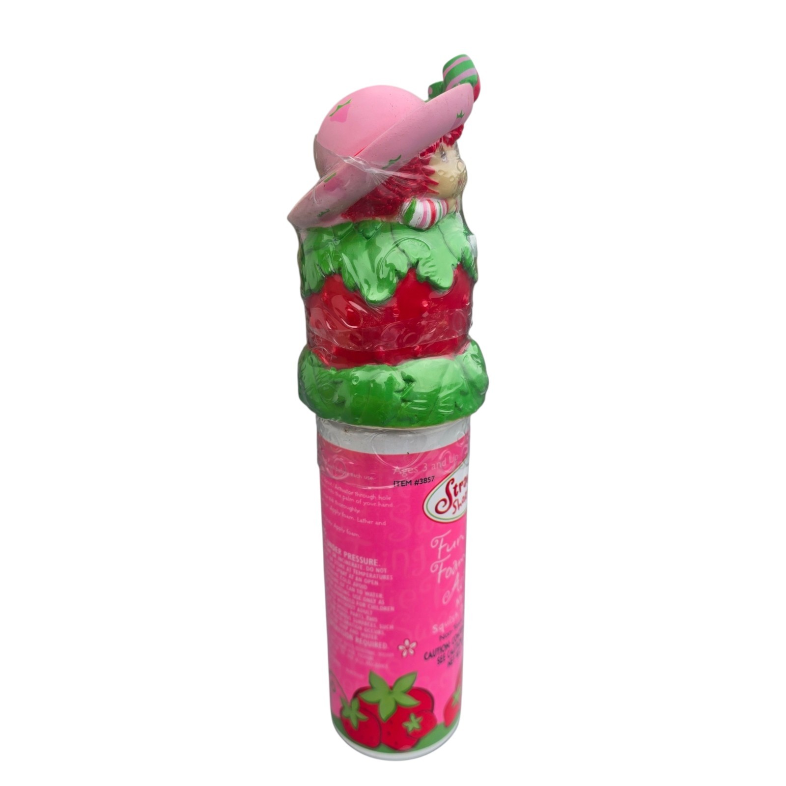 Strawberry Shortcake Collectible 2003 Fun Suds Bath Activity NOS See Notes