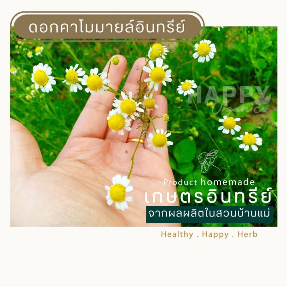 Deep Sleep Tea 100% Organic Chamomile Sleep well Relieve stress Antioxidant