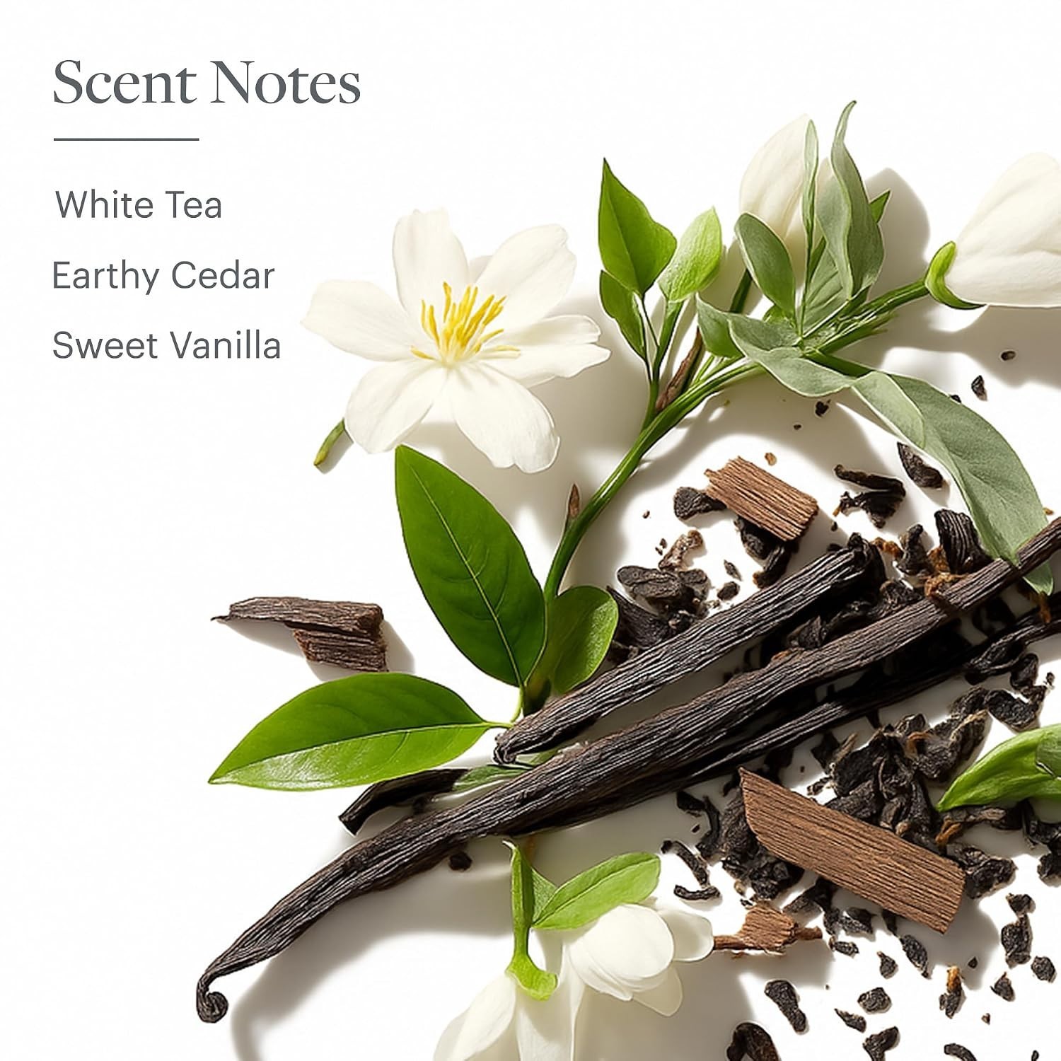White Tea Leaf Soap Nourishing Bars of with Signature Aloe Scent Individually