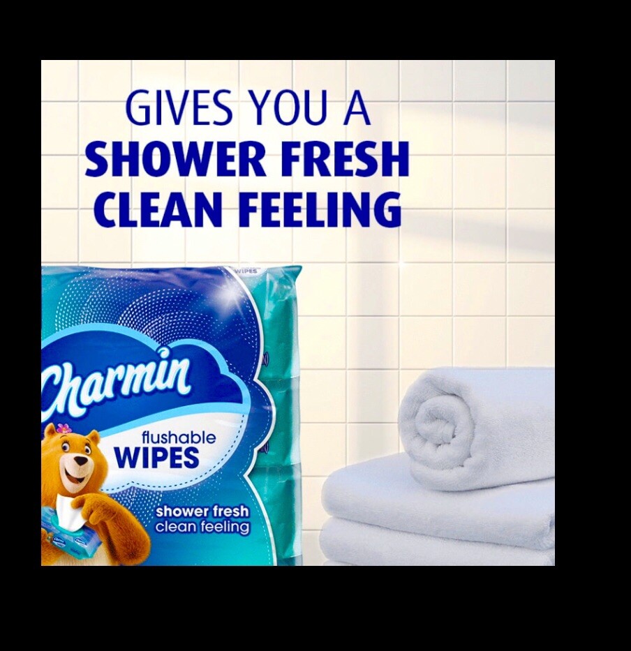 Charmin Flushable Wipes with flip top lids 80 count (2 x 40 Wipes) printed packs