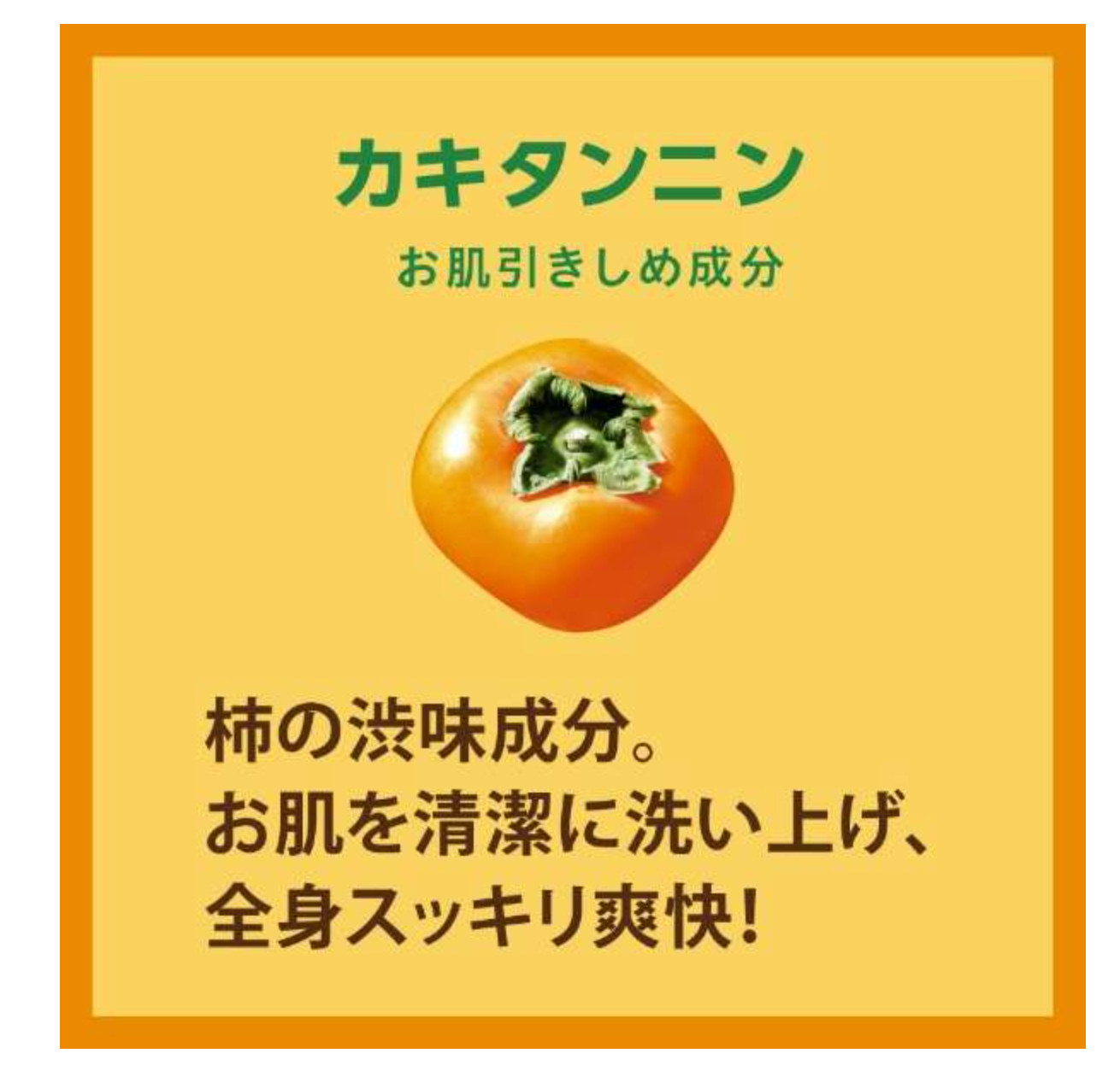 Pelican persimmon Family soap 80g Tannin Body odor made in Japan