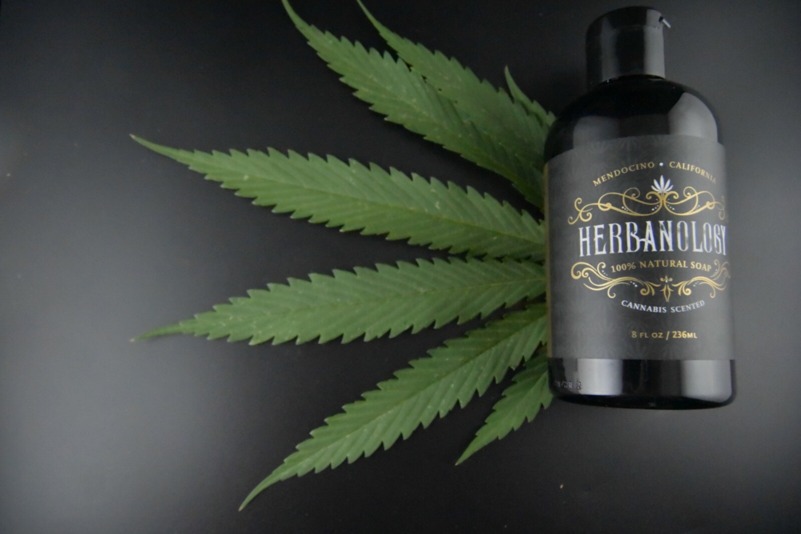 Herbanology 1 Gallon Jack Organic Liquid Castile All Purpose Soap