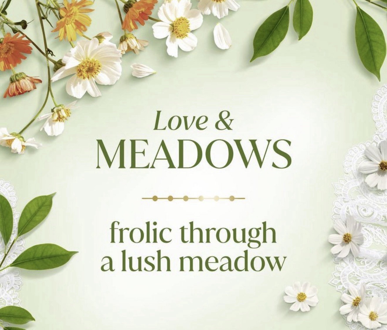 Bridgerton Dove Love And Meadows Bergamot Wildflowers Beauty Bar Soap 4 Bars Pkg