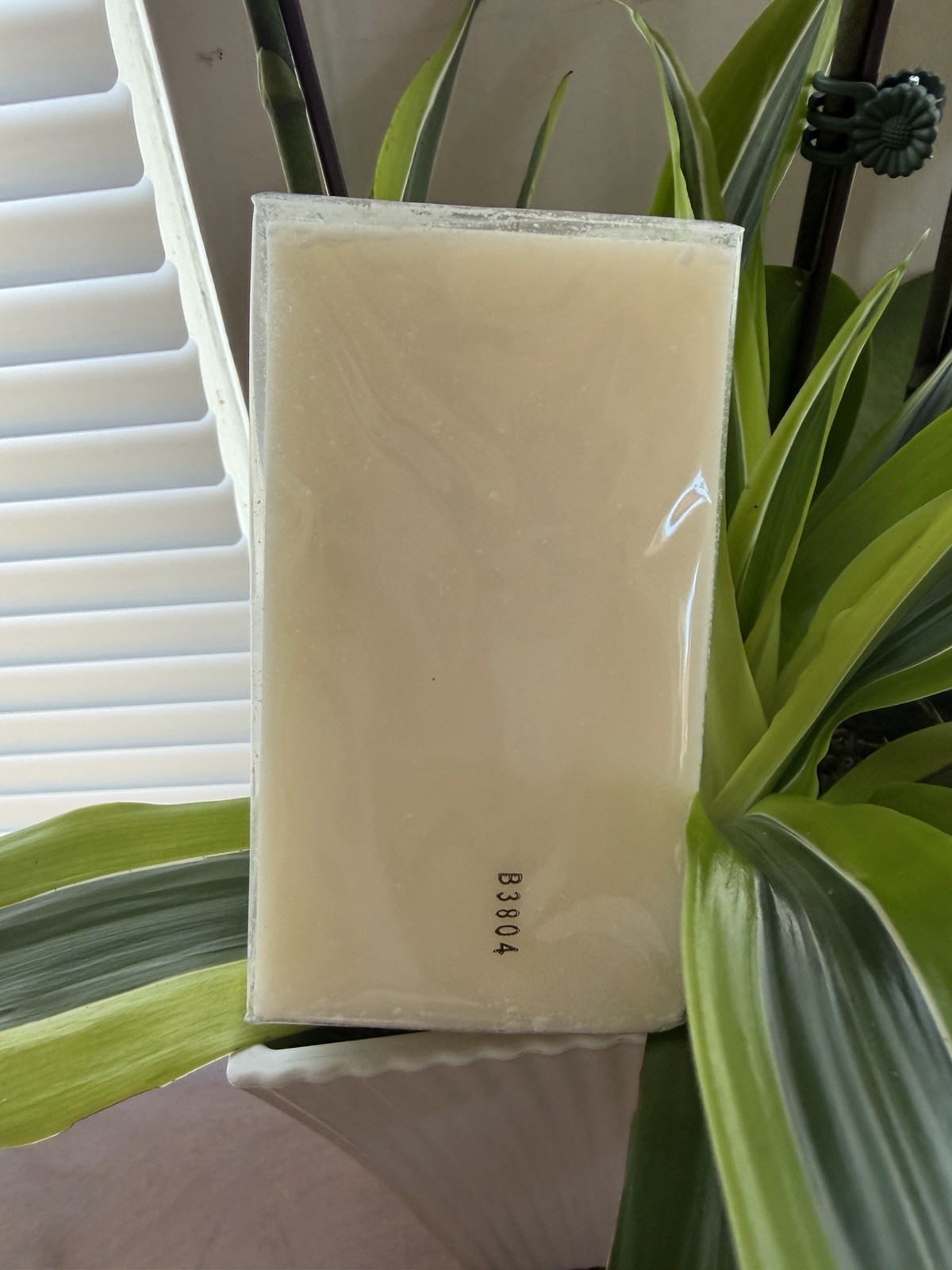 Glasshouse Fragrance Bar Soap sunset in capri 6.35oz