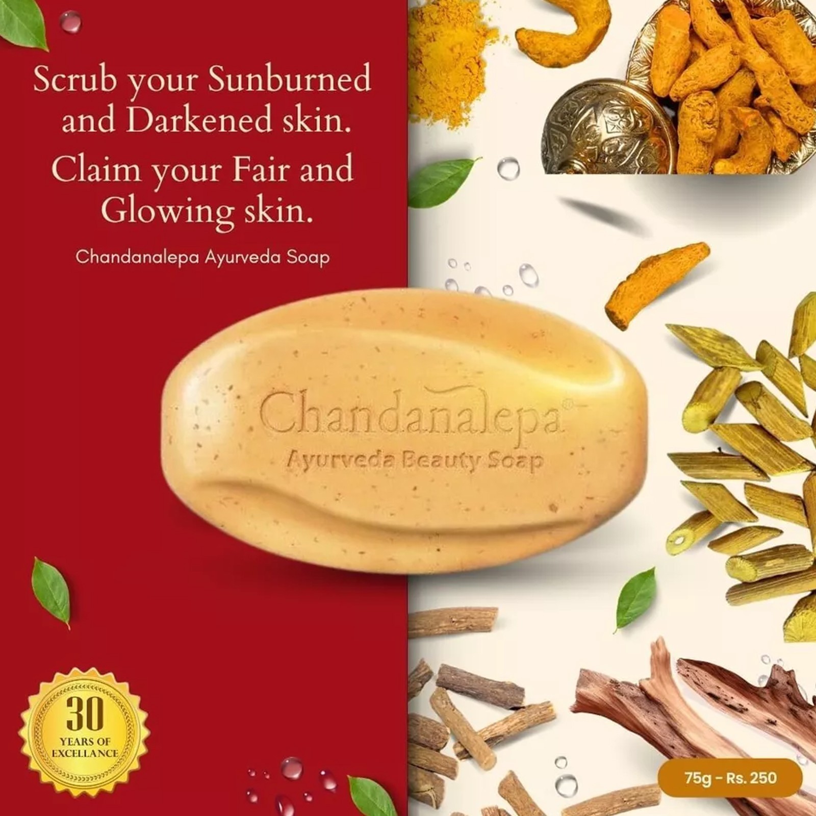 Chandanalepa Ayurvedic Beauty Bar Natural Herbal Soap Healthy Glowing Skin 100g