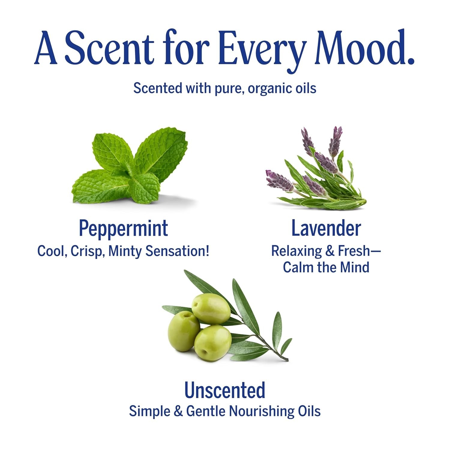 Dr. Bronner’s Pure-Castile Bar Soap Variety Pack