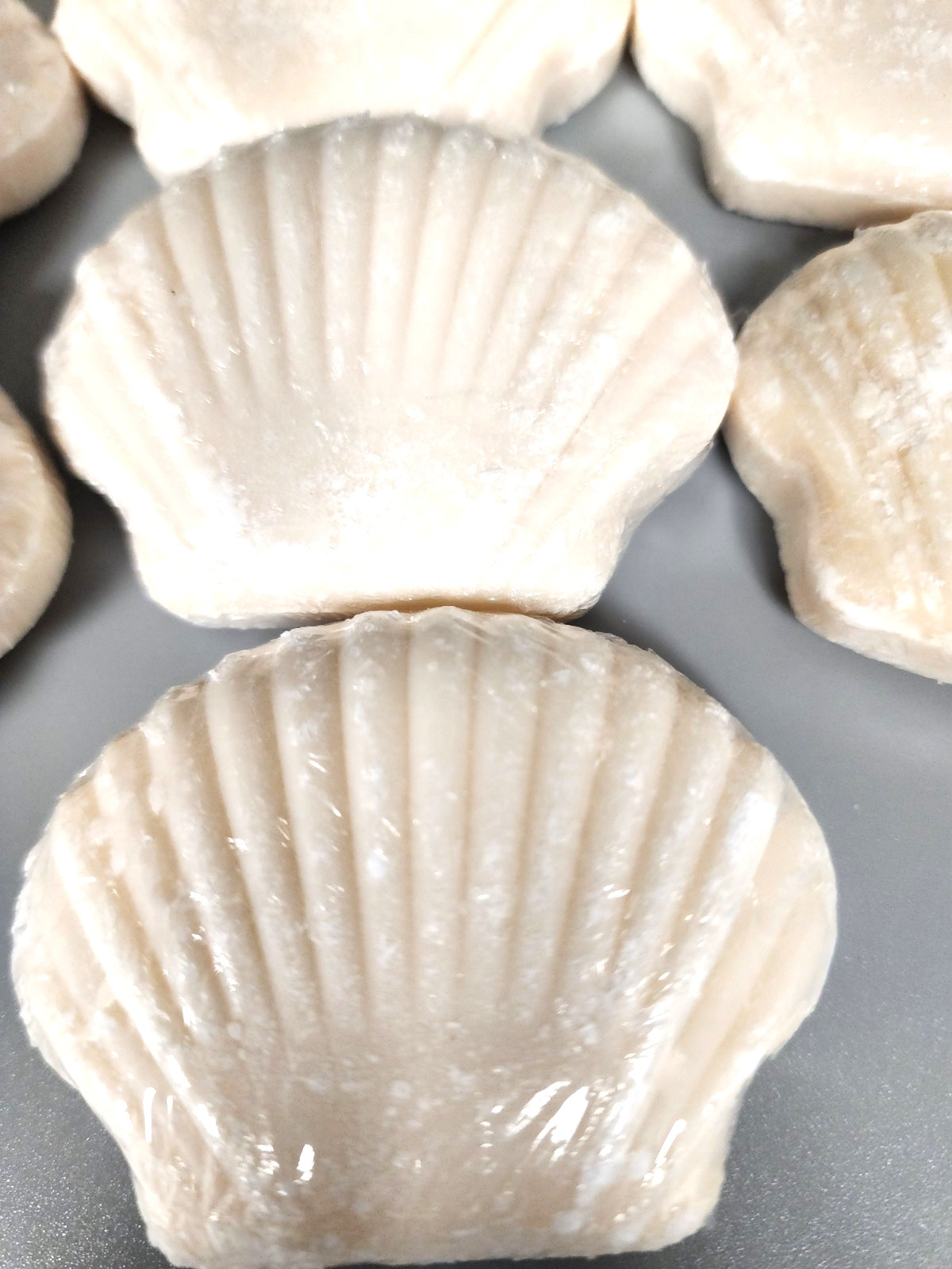 Malibu Wellness Shell Shaped Cleansing Bars (10)