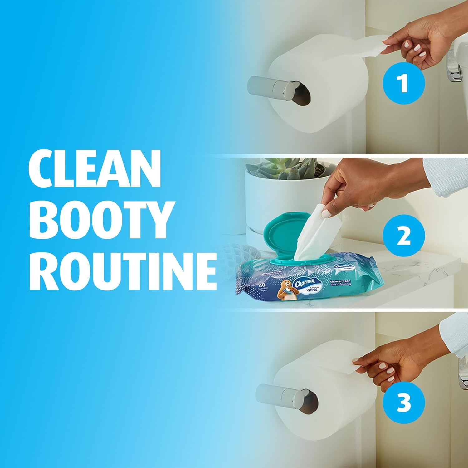 Charmin Flushable Wipes, 160 Total Wipes (4 Packs of 40)