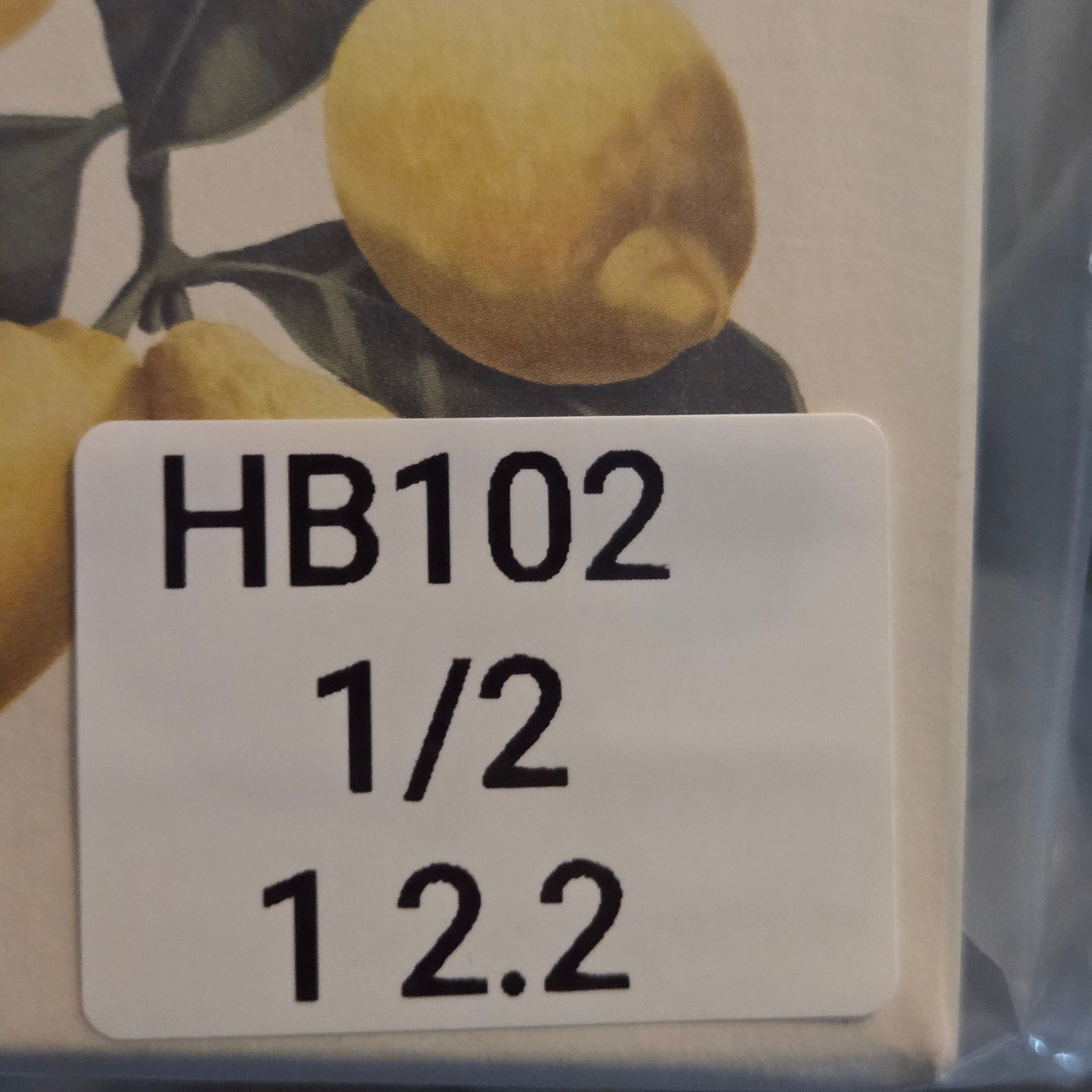 Alchimia Lemon Vegetable Soap 15.7oz 3 Pack Italian Luxury Citrus Spa Gift