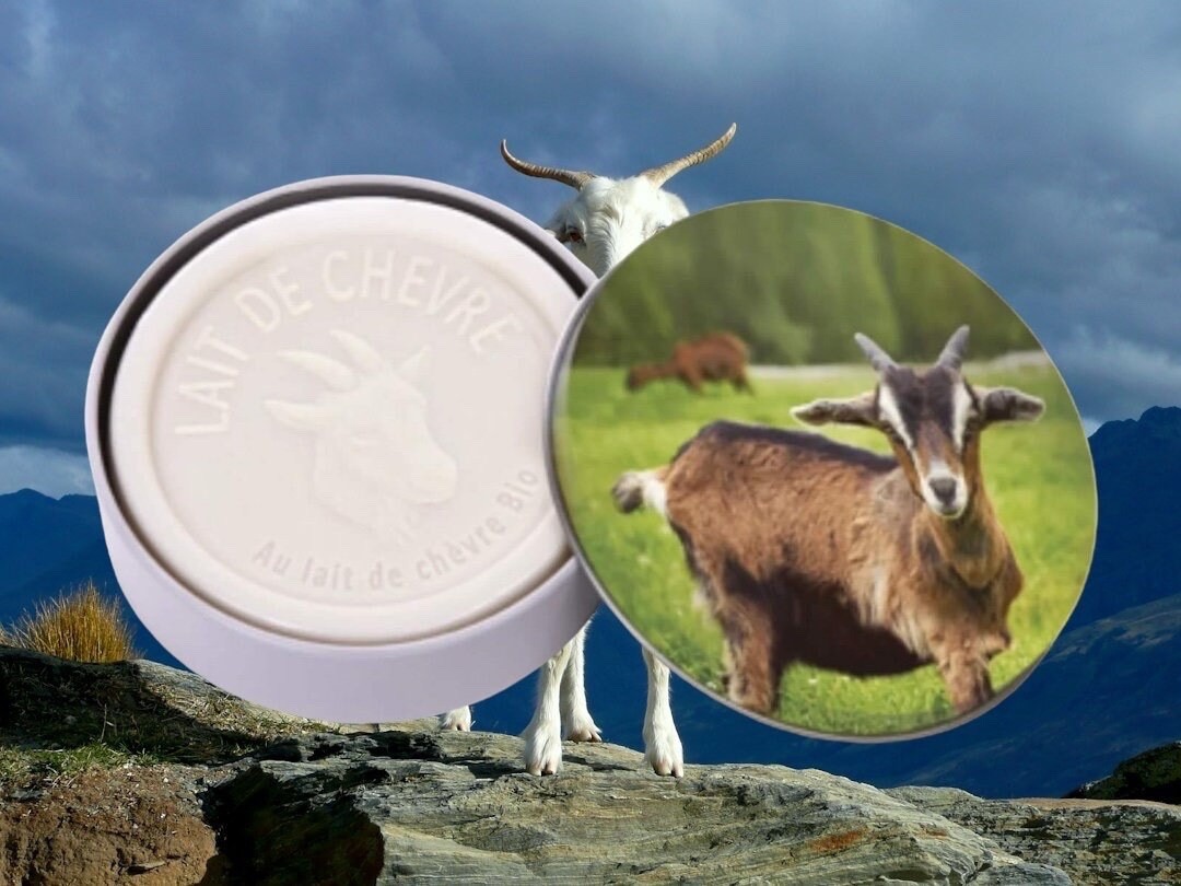 Extra gentle Soap with 2% Organic Goat milk in tin box Made in France
