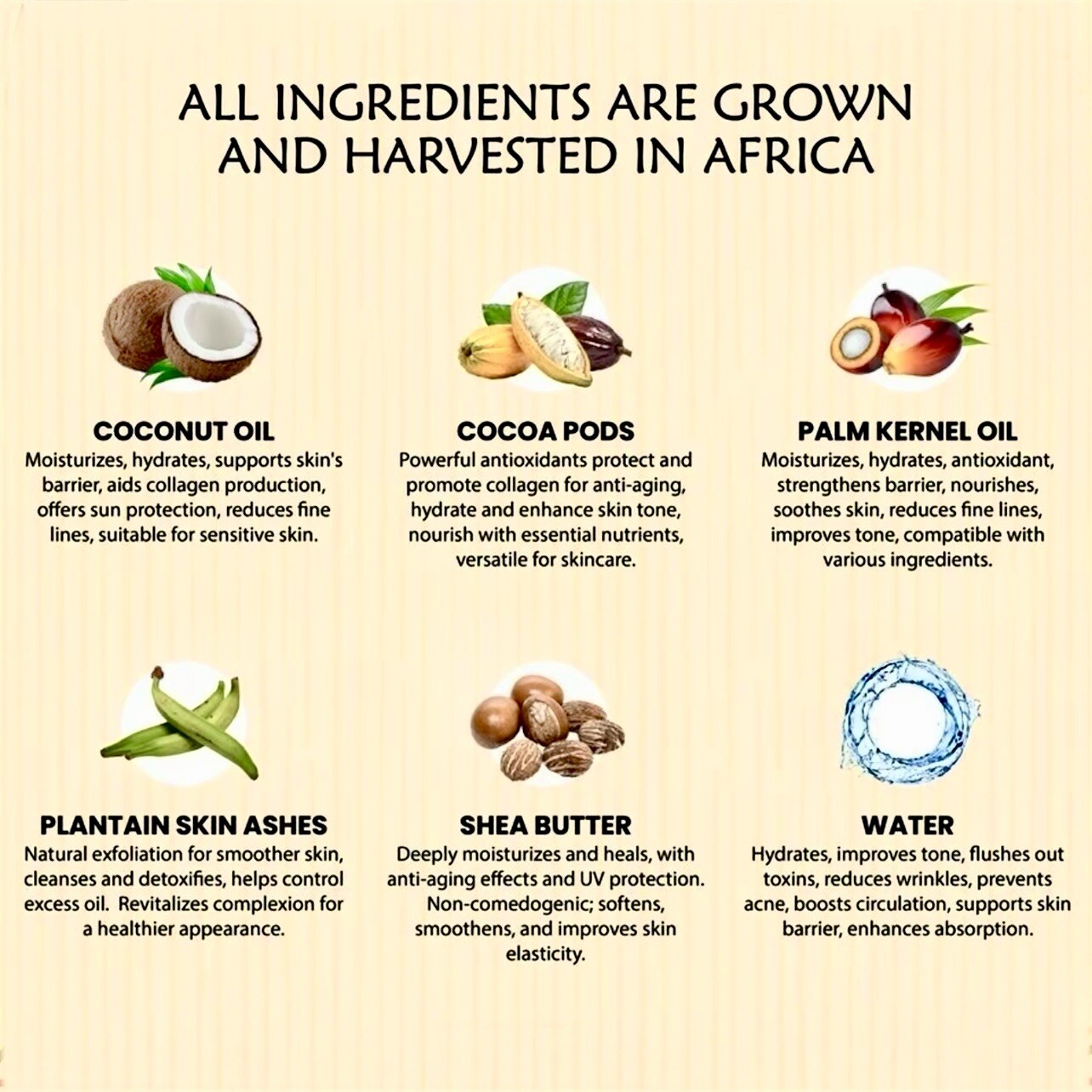 Premium Handmade African Black Soap – 5oz with Shea Butter, Honey Made In GHANA